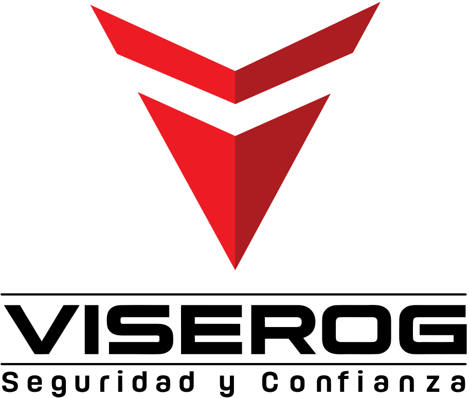 Equipo Viserog